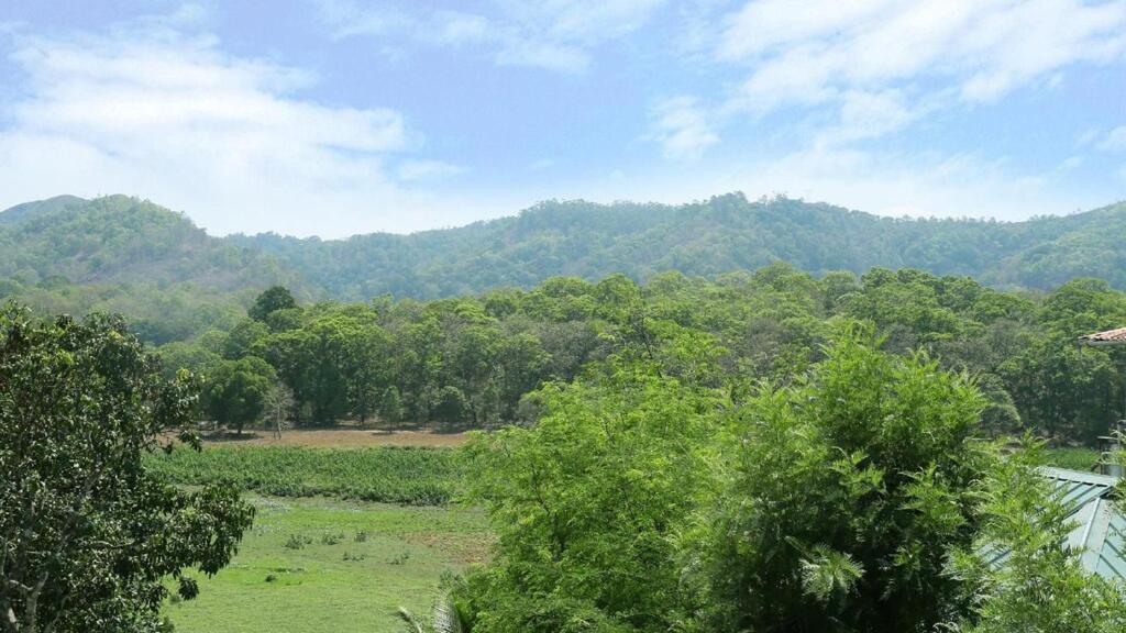 Hill Green Home Stay Thekkady Ngoại thất bức ảnh